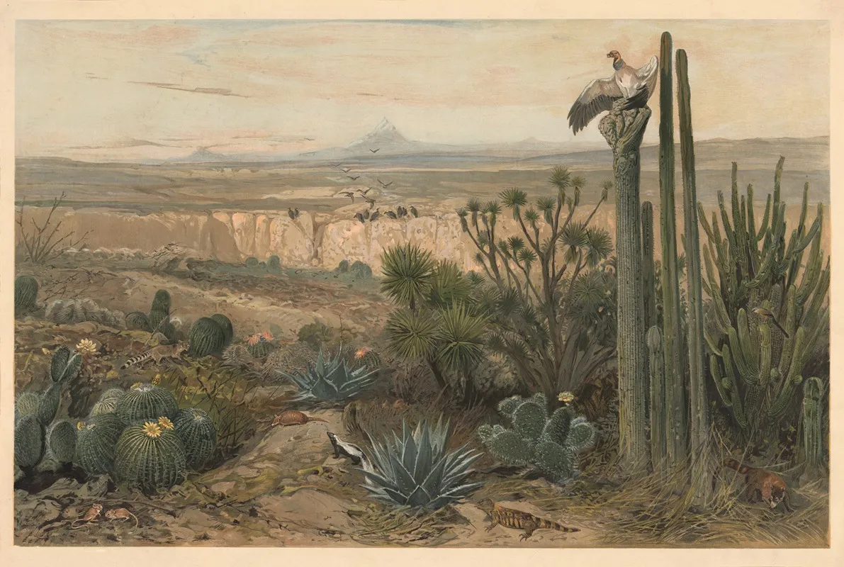 From The Highlands Of Mexico