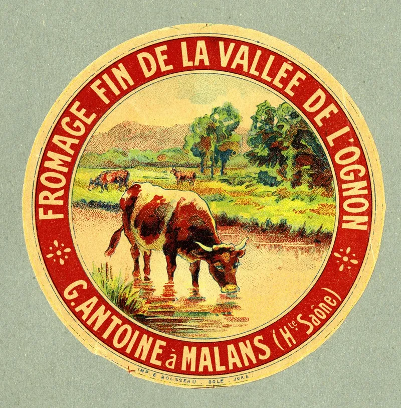 Fromage Fin De La Vallee De Lognon