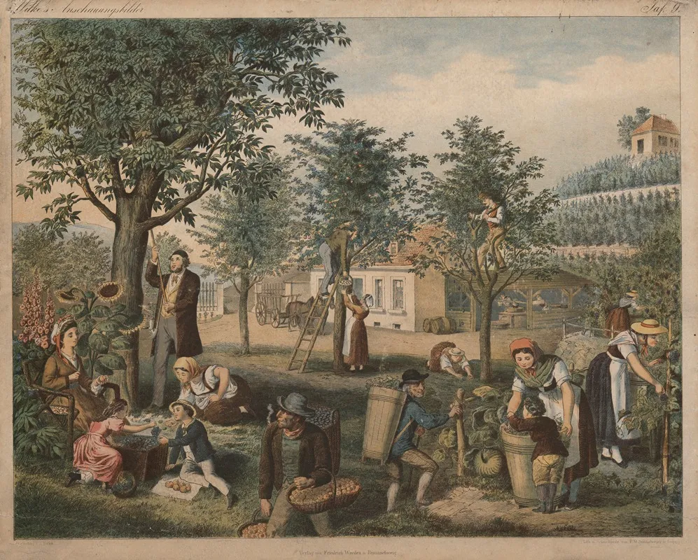 Fruit Harvest 2 by A. Toller - Canvas Print