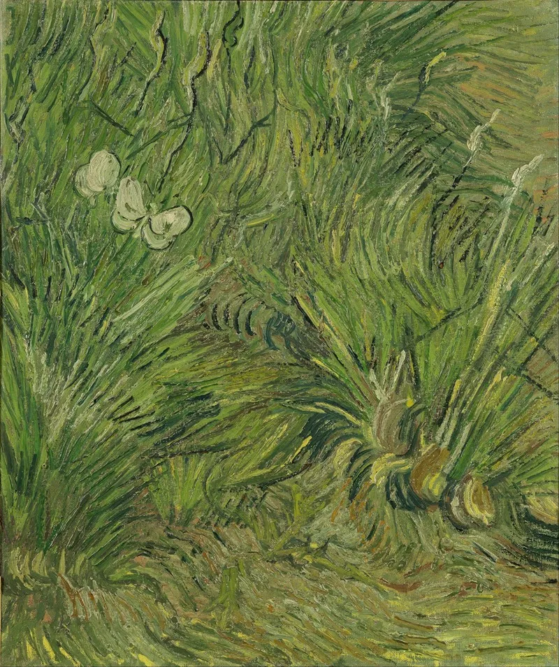 Garden With Butterflies