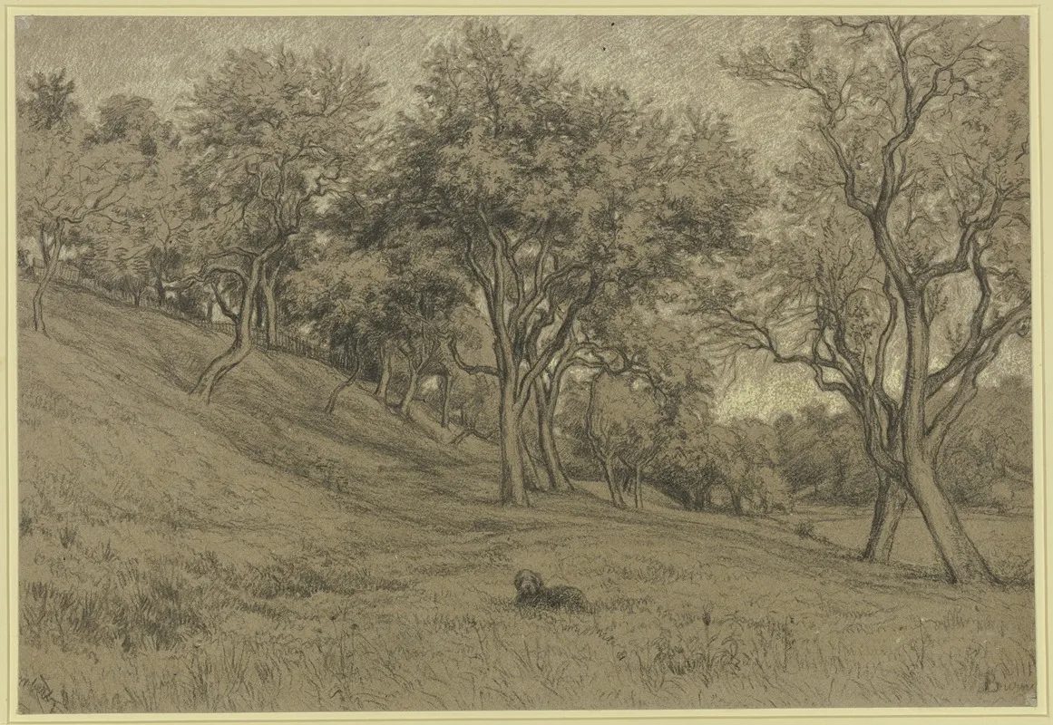 Garden With Fruit Trees by Peter Burnitz - Canvas Print