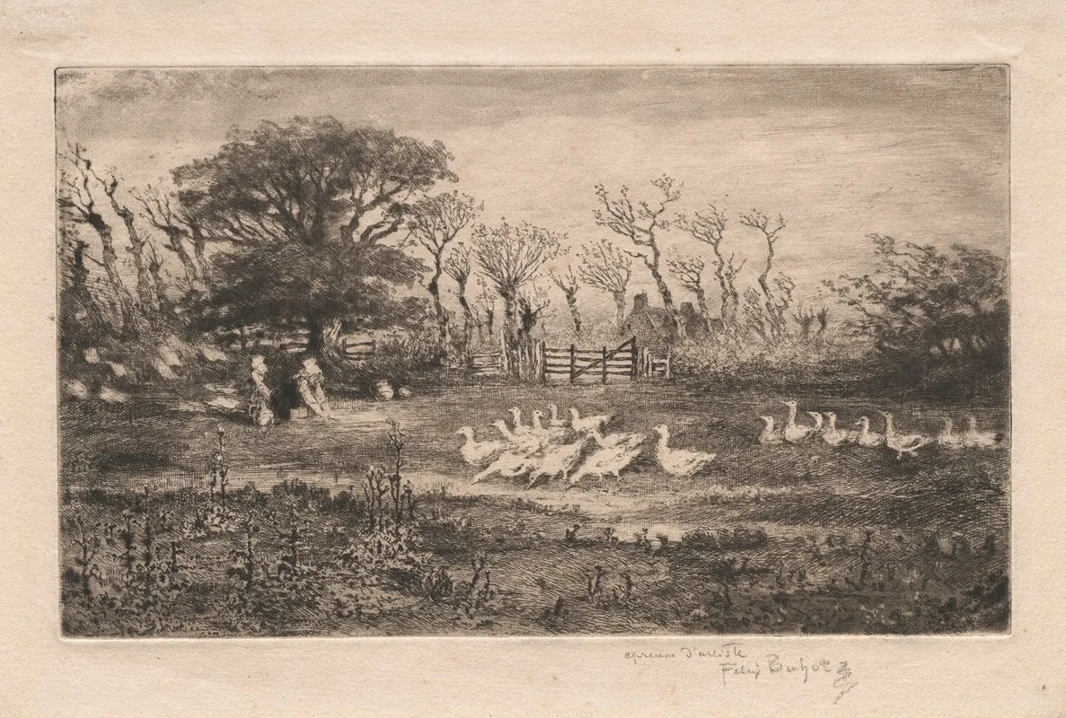 Geese 2 by Félix Hilaire Buhot - Canvas Print