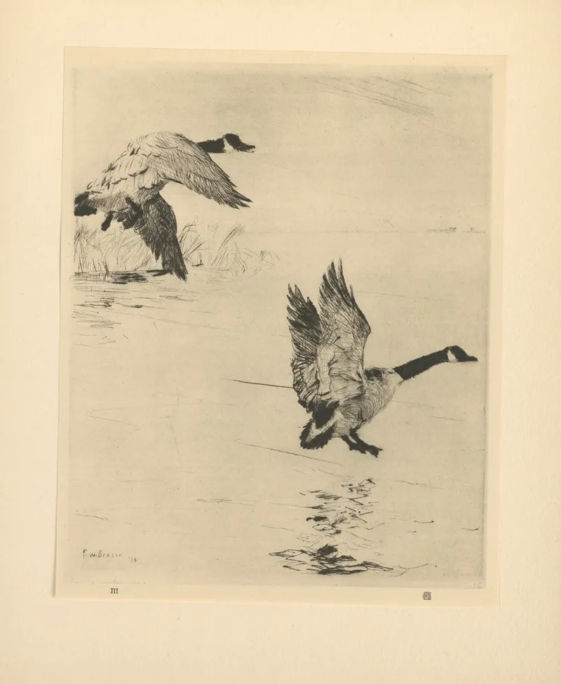 Geese Alighting by Frank Weston Benson   - Canvas Print