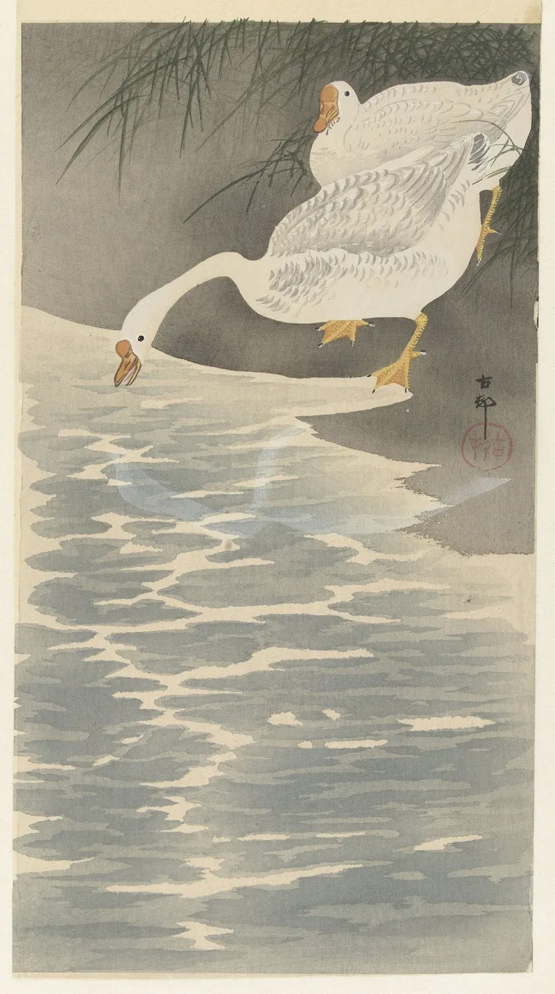 Geese On The Bank by Ohara Koson - Canvas Print