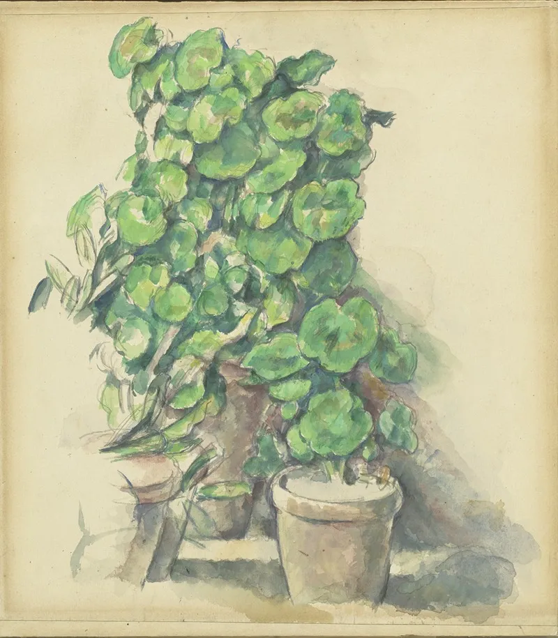 Geraniums by Paul Cézanne - Canvas Print