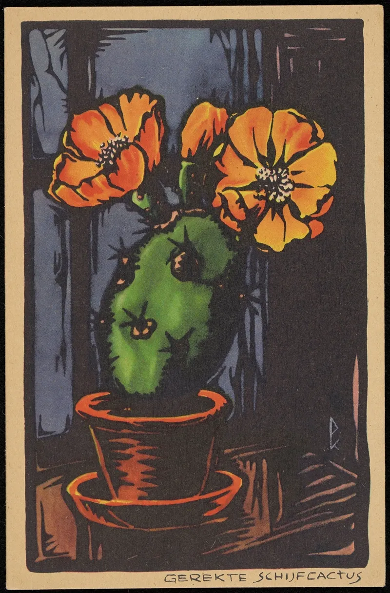 Gerekte Schijfcactus