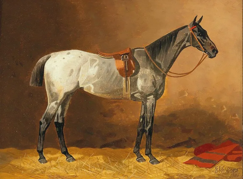 Gesatteltes Reitpferd by Emil Volkers - Canvas Print