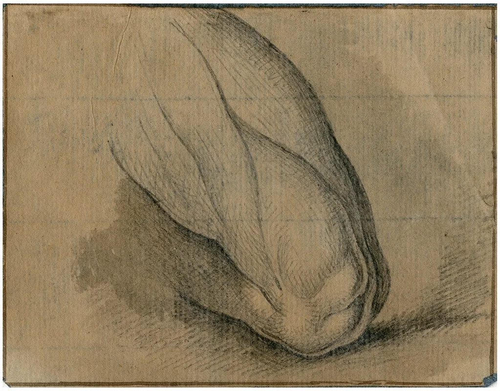 Gespierd Bovenbeen En Knie by David Humbert de Superville - Canvas Print