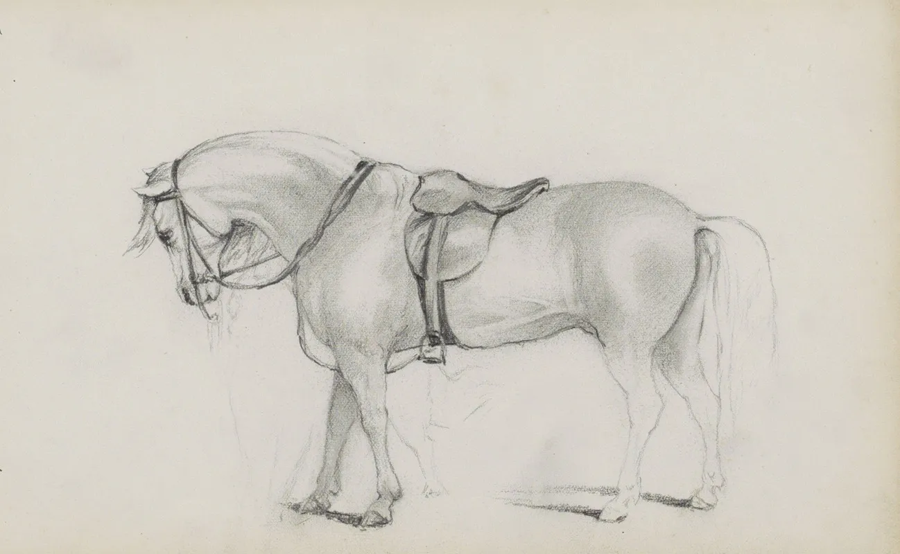 Gezadeld Paard by Marius Bauer - Canvas Print