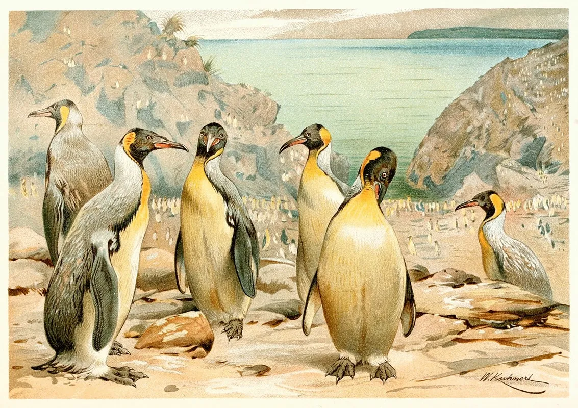 Giant Penguins