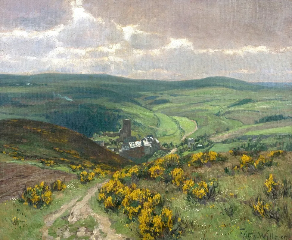 Ginsterblute In Der Eifel