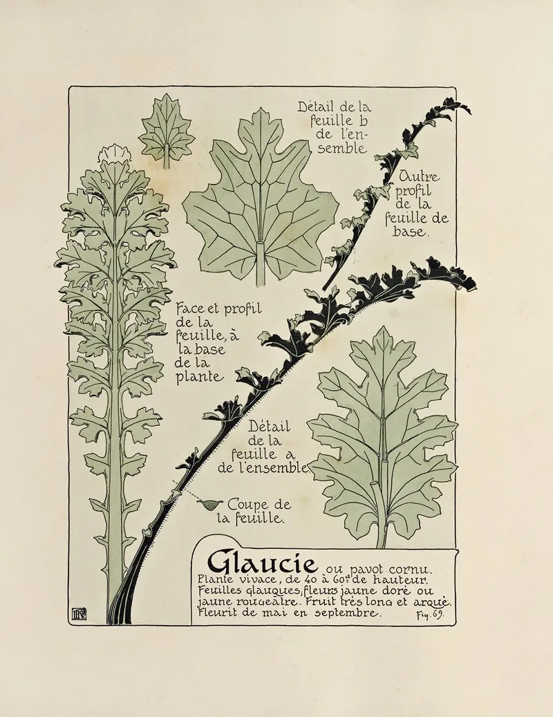 Glaucie 2 by Maurice Pillard Verneuil - Canvas Print