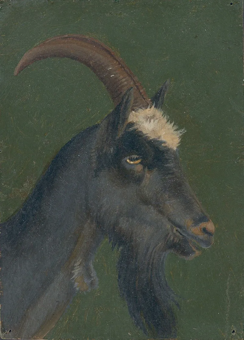 Goat Head