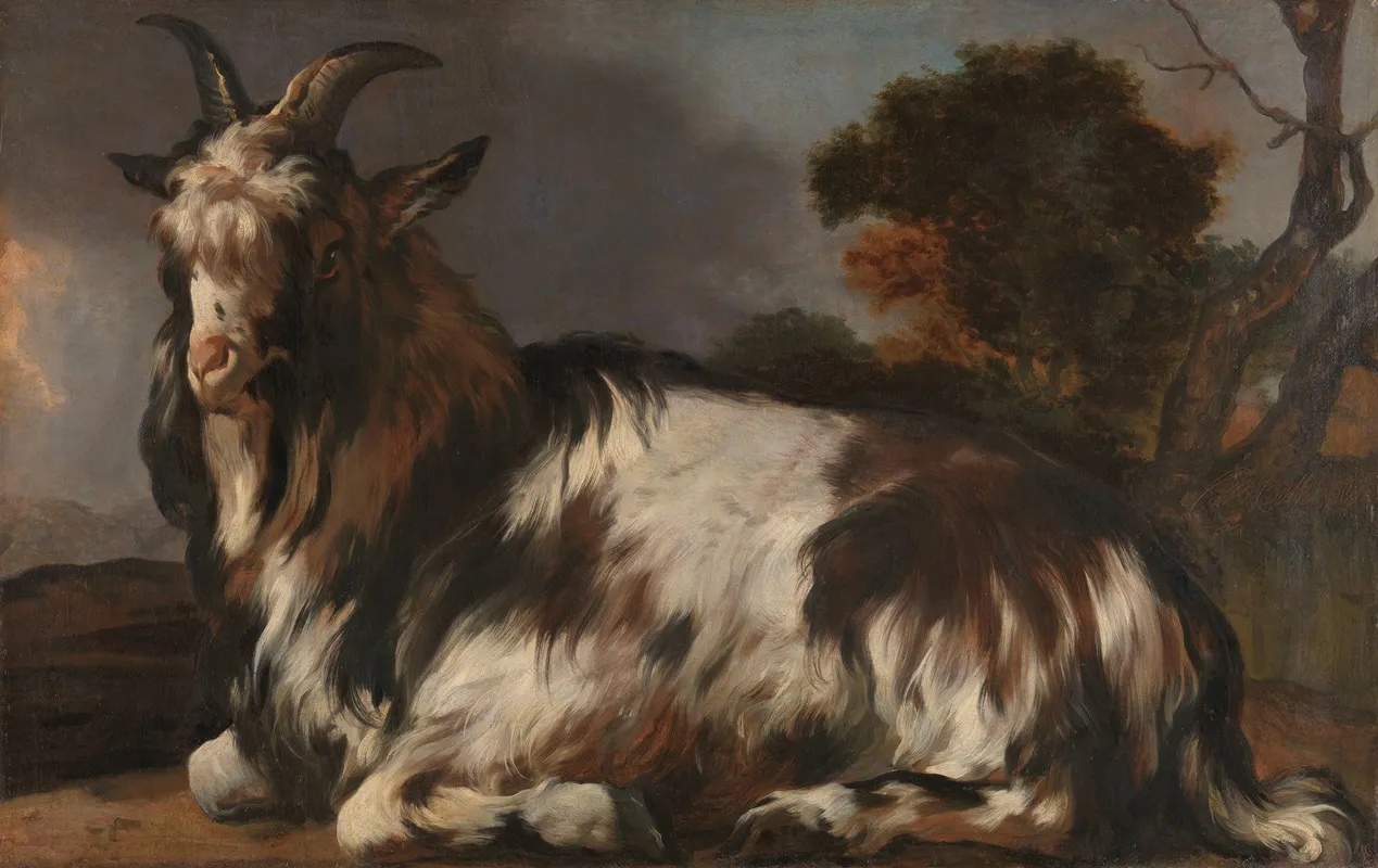 Goat Lying Down by Jan Baptist Weenix - Canvas Print