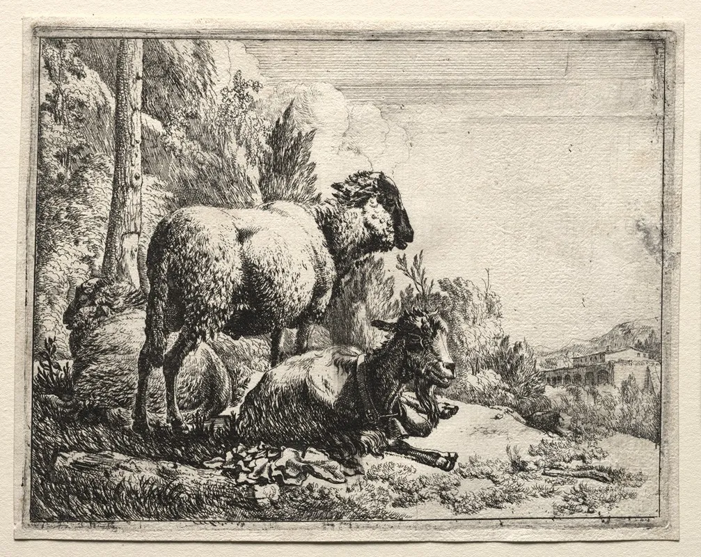 Goat With Bell