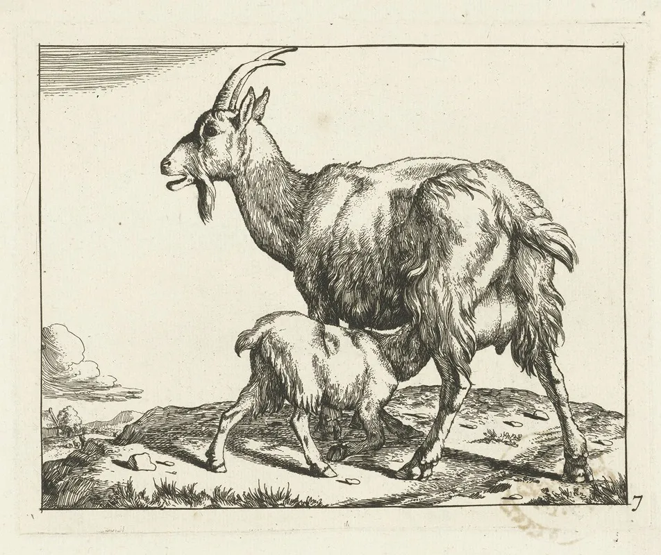 Goat With Drinking Lamb by Marcus de Bye - Canvas Print