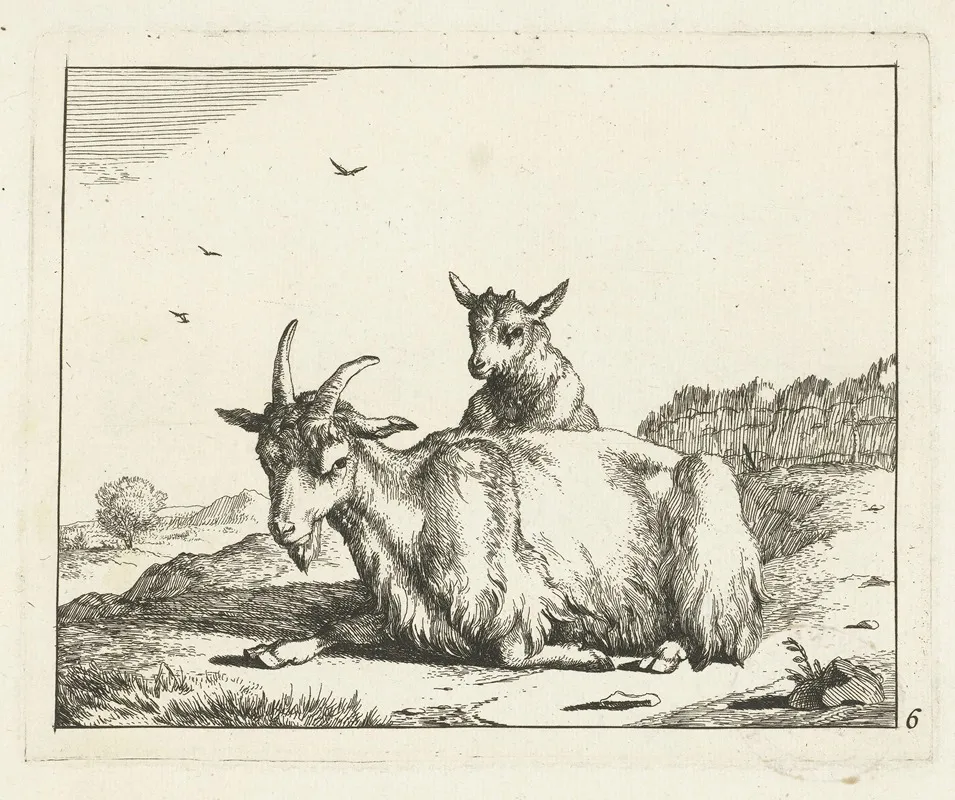 Goat With Lamb by Marcus de Bye - Canvas Print