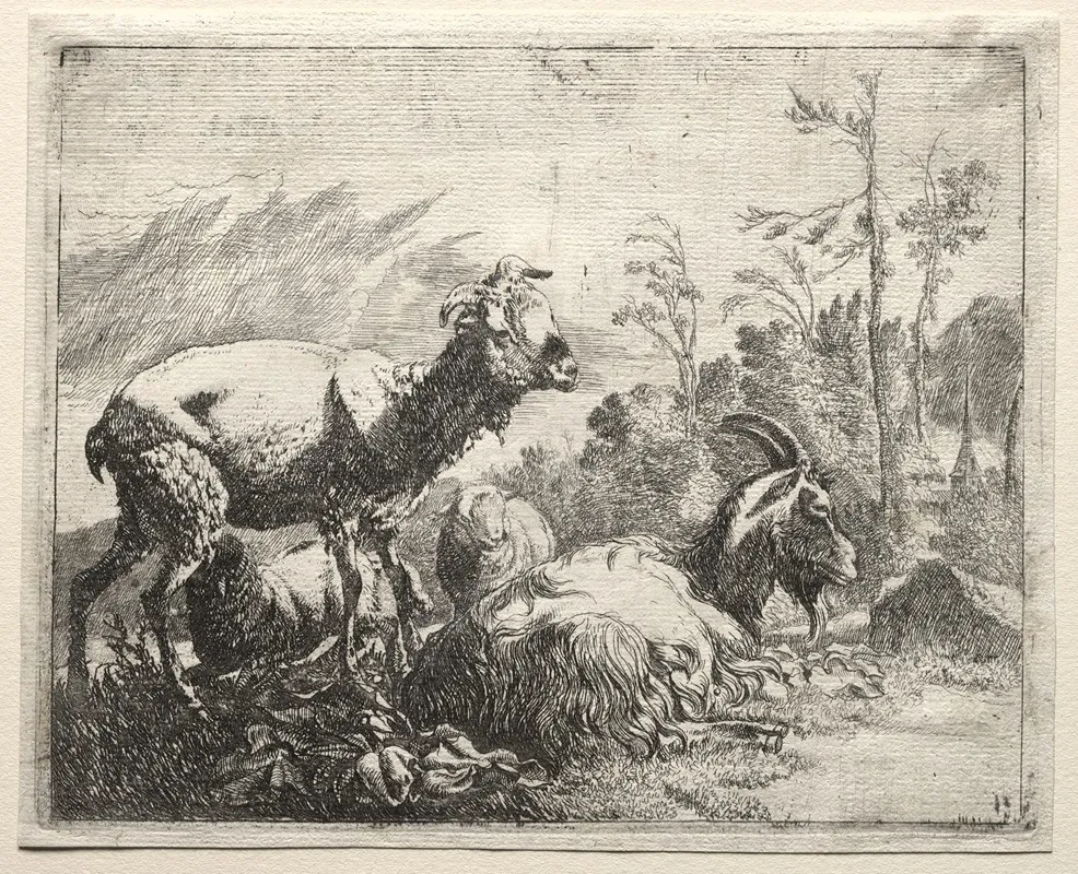 Goats 9