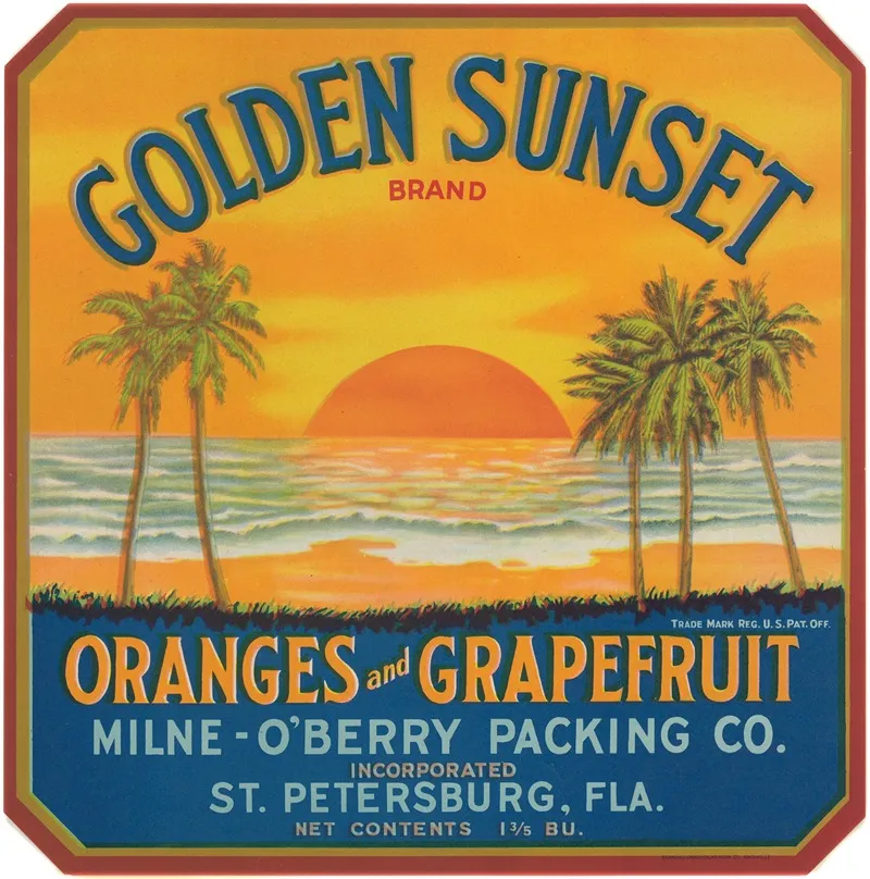 Golden Sunset Brand Oranges And Grapefruit Label