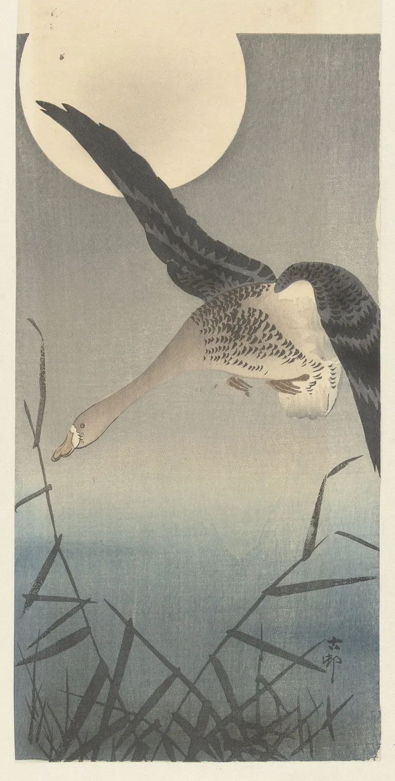 Goose by Ohara Koson - Canvas Print