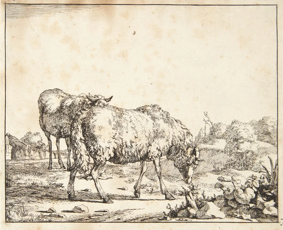 Graessende Far Vendt Mod Hojre by Marcus de Bye - Canvas Print