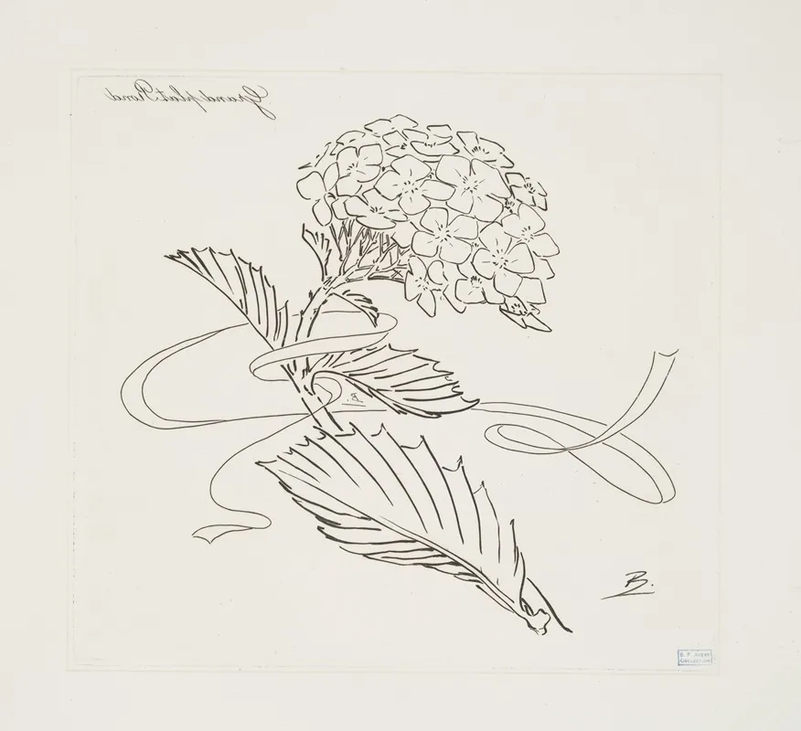 Grand Plat Rond Hortensia