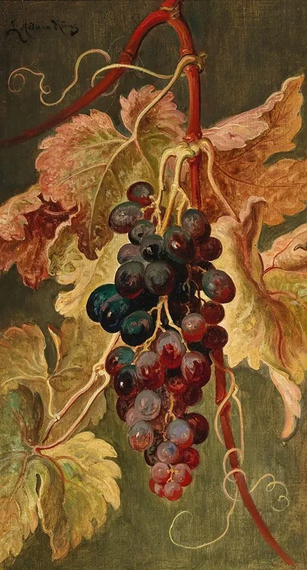 Grapes 2 by Ludwig Adam Kunz - Canvas Print