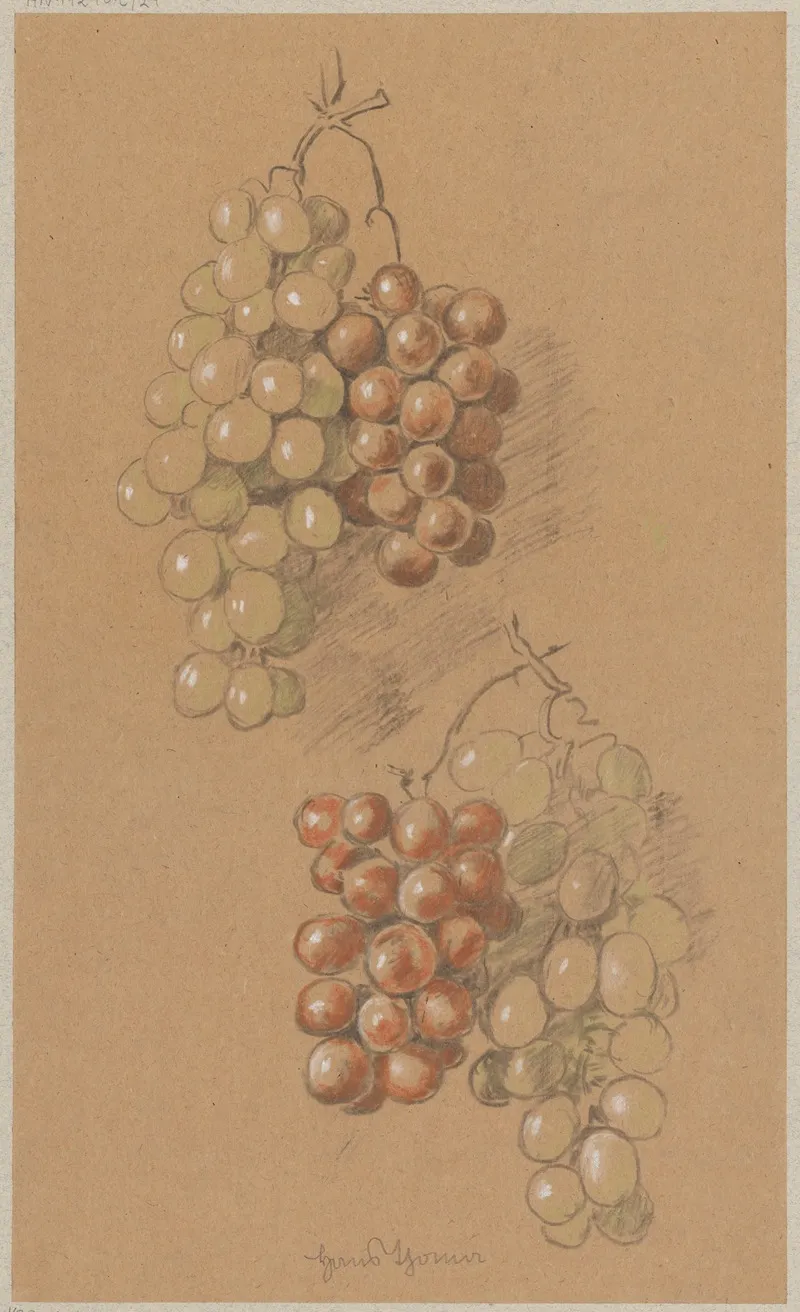 Grapes 7