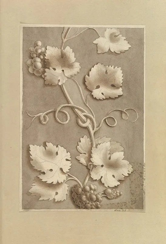 Grapes And Vine Leaves