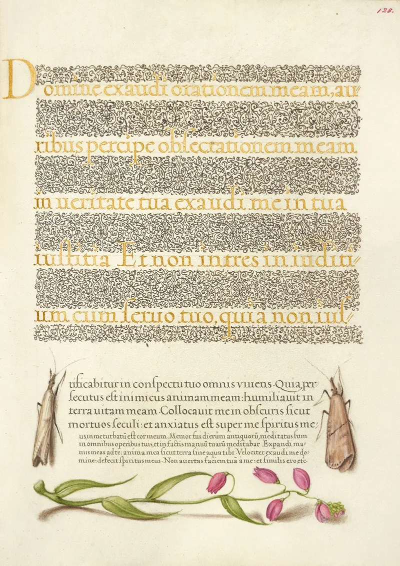 Grass Moths And Milkwort