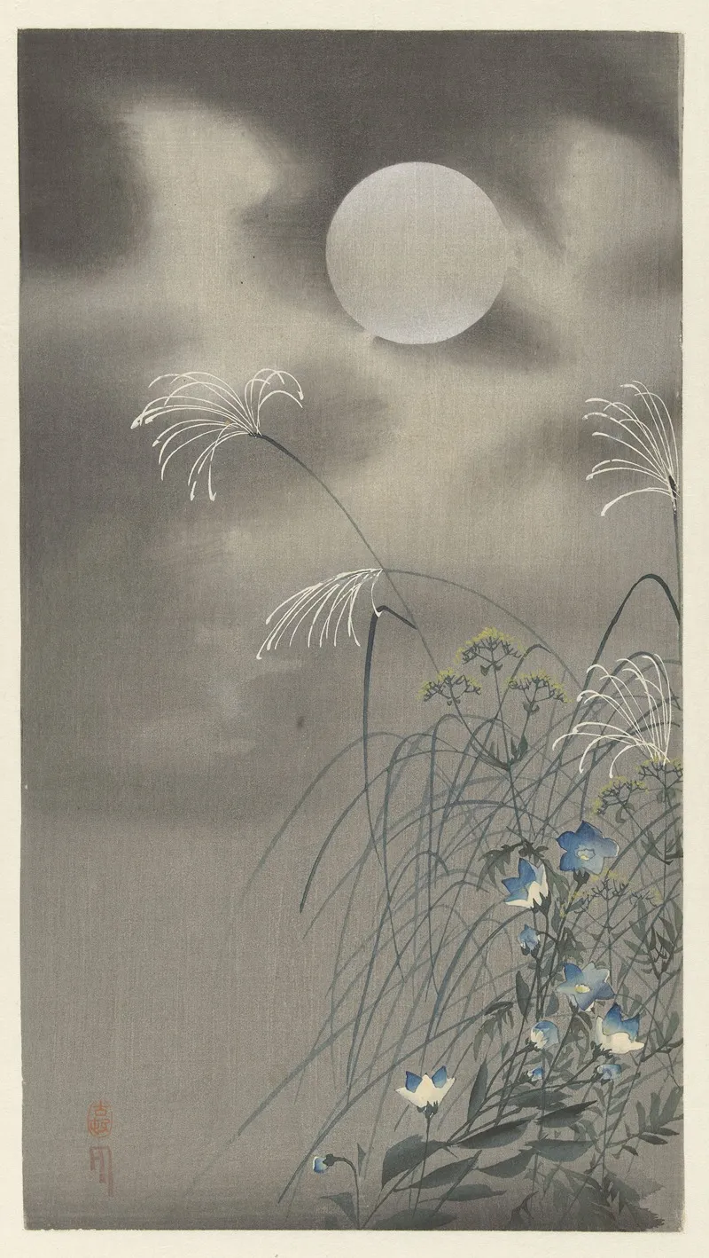 Grasses And Flowers At Full Moon