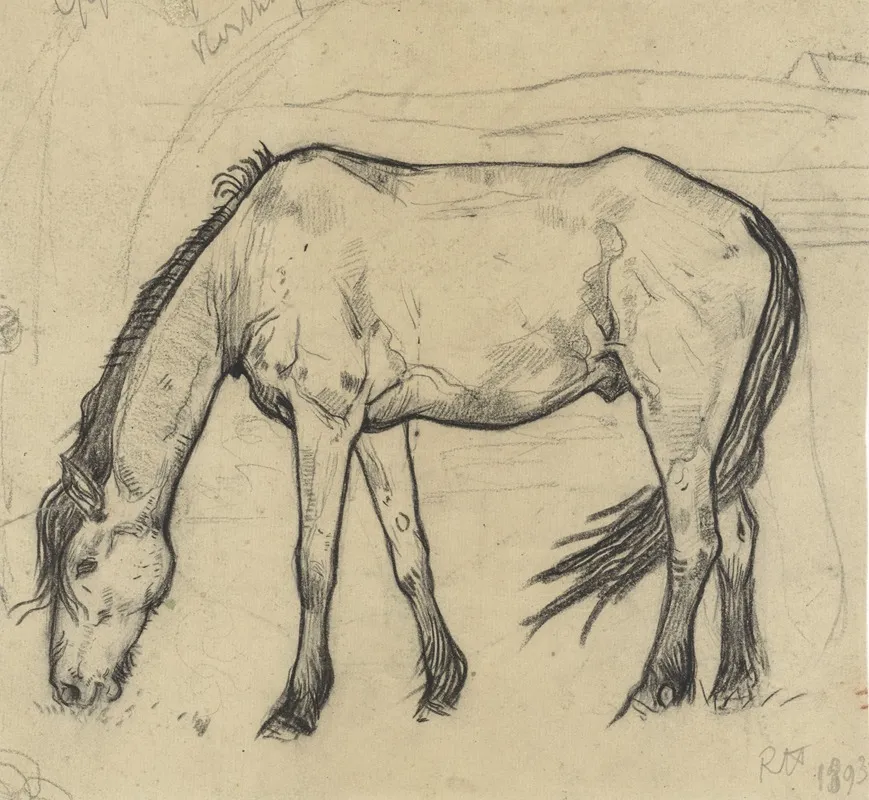 Grazend Paard Te Noordwijk