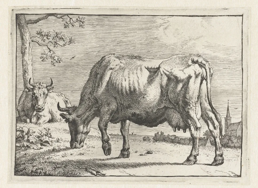 Grazing Cow 3