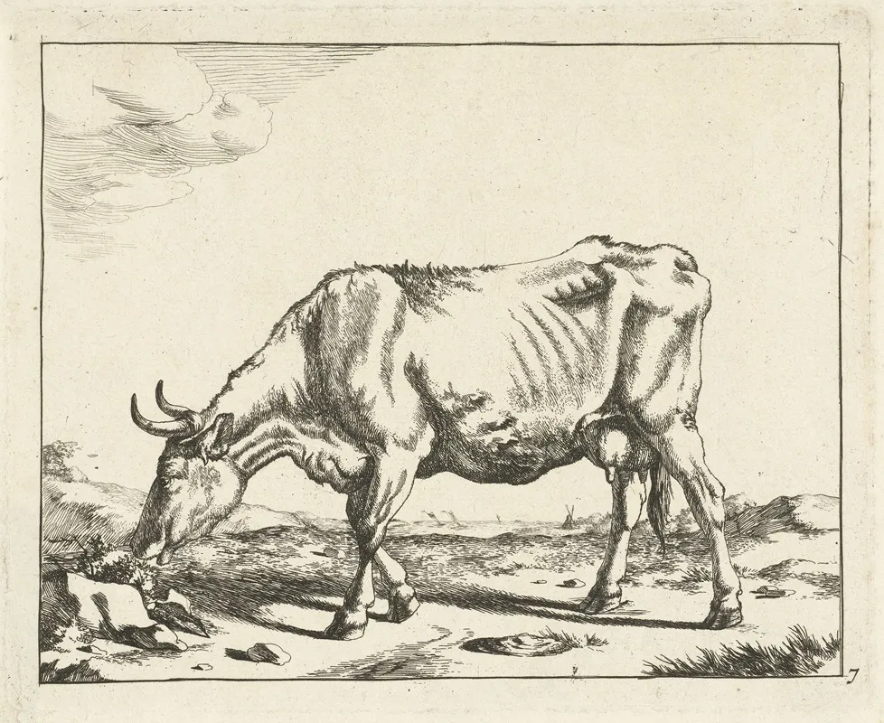 Grazing Cow 4 by Marcus de Bye - Canvas Print