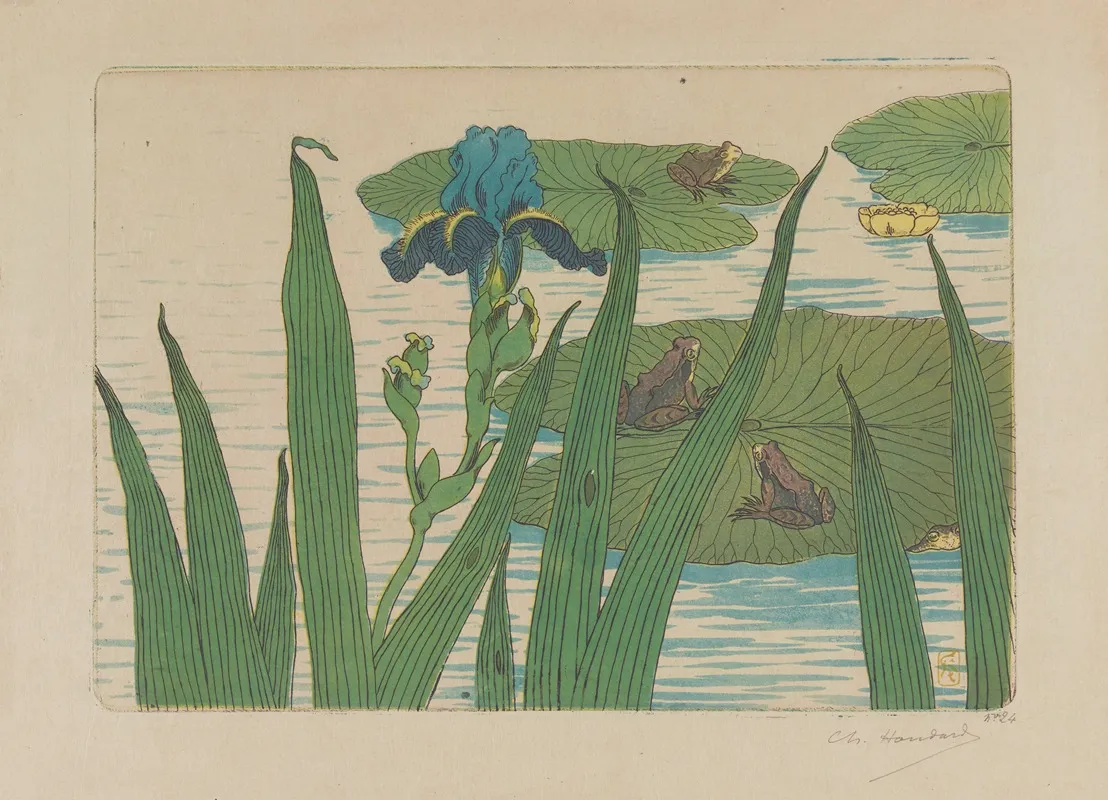 Grenouilles Iris Et Nenuphars