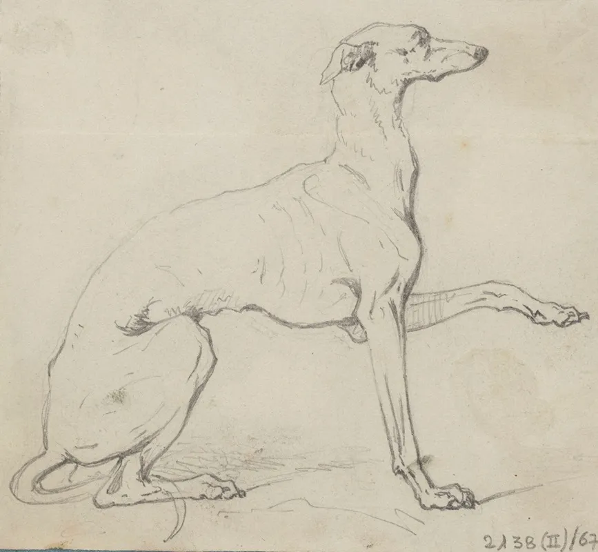 Greyhound 4
