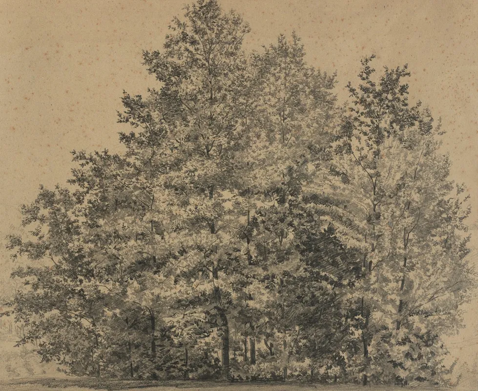 Grose Baumstudie by Tina Blau - Canvas Print