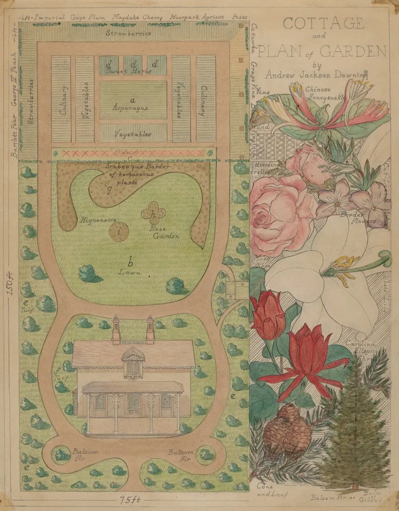 Ground Plan For Cottage by Virginia Richards - Canvas Print