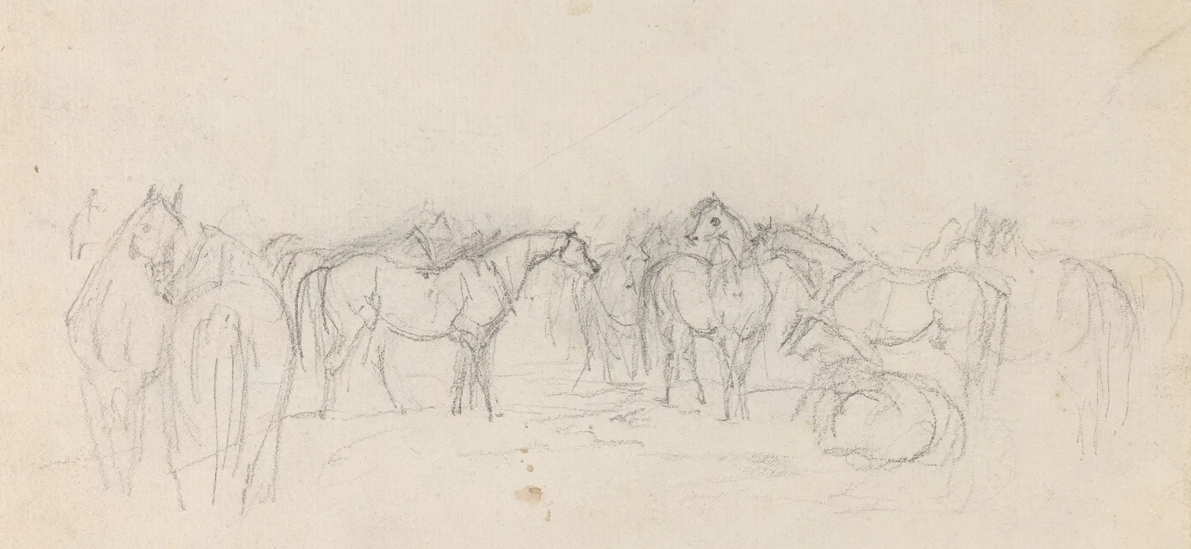 Group Of Horses