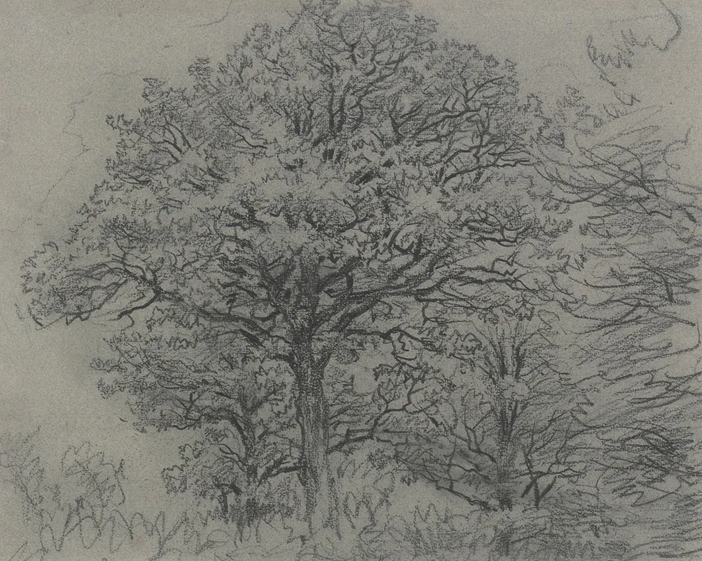 Group Of Trees 6