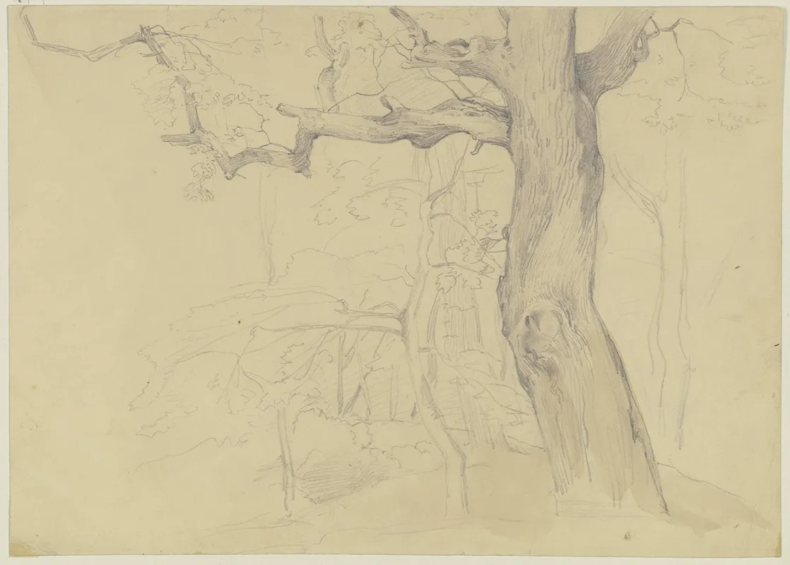 Group Of Trees 7 by Jakob Becker - Canvas Print