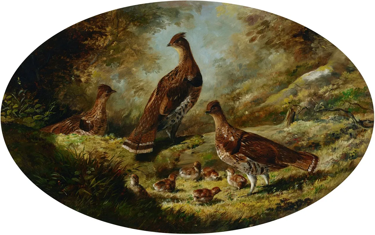 Grouse Family