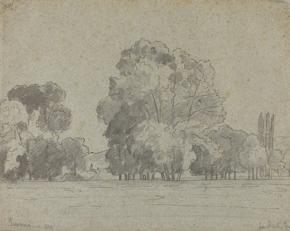 Grove Of Trees 2