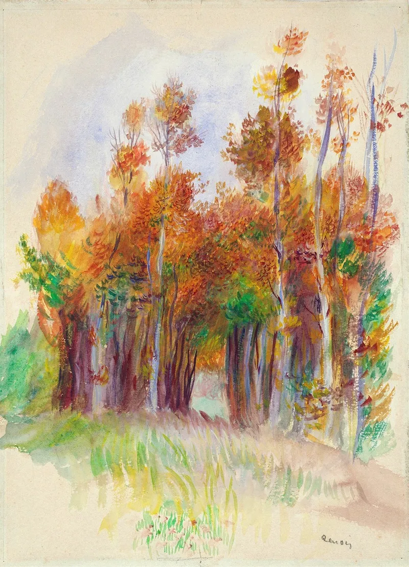 Grove Of Trees