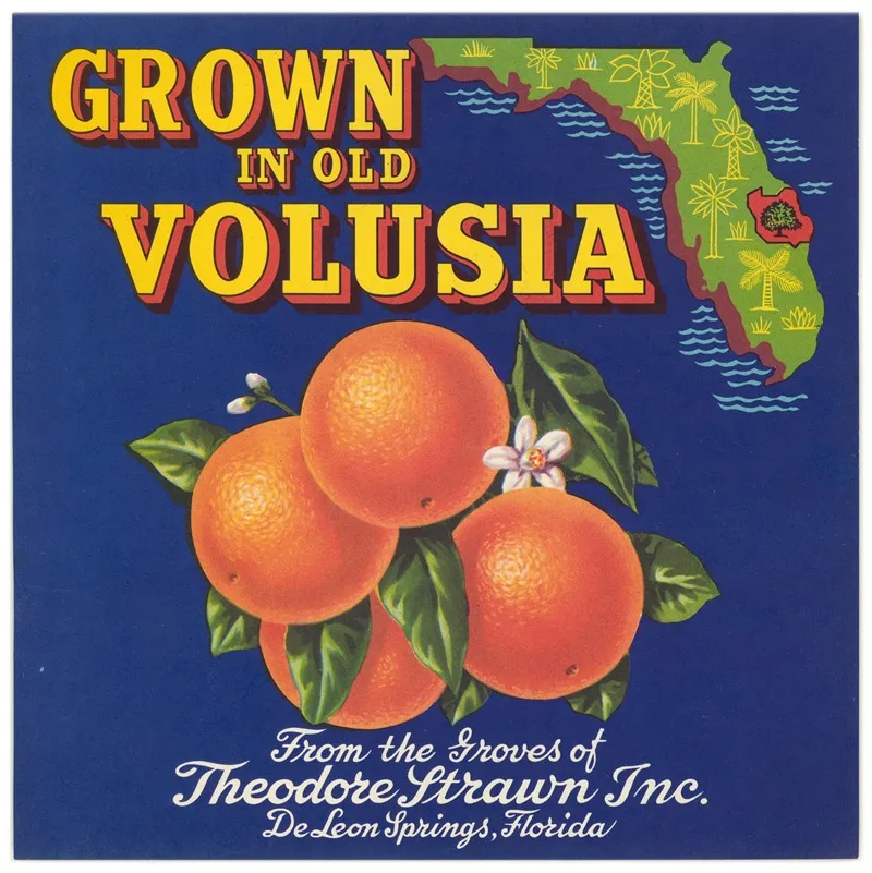 Grown In Old Volusia Can Label