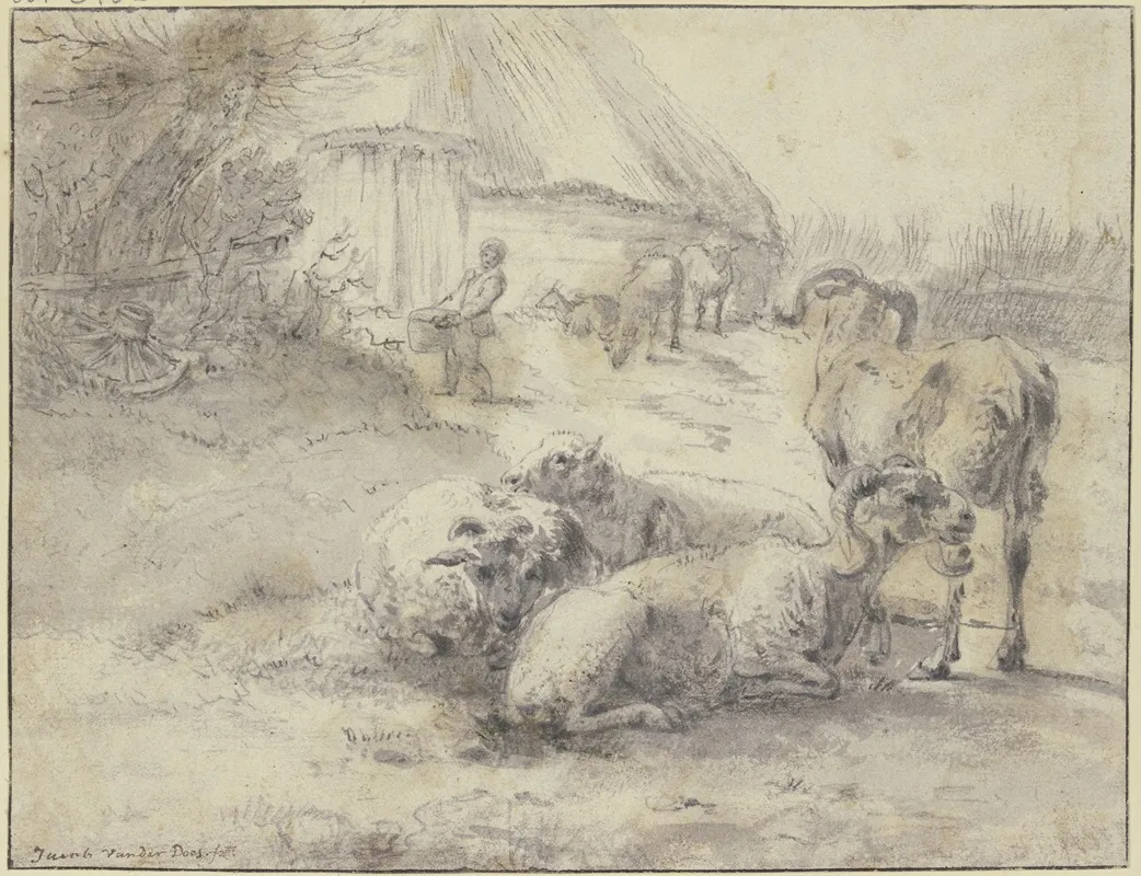 Gruppe Von Vier Schafen Im Hintergrund Eine Hutte Dabei Ein Mann Der Einen Zuber Tragt by Jacob van der Does - Canvas Print