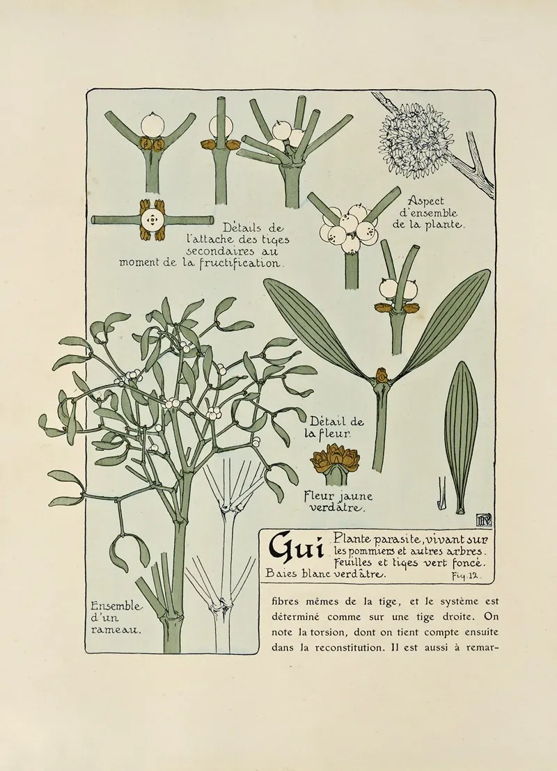 Gui by Maurice Pillard Verneuil - Canvas Print