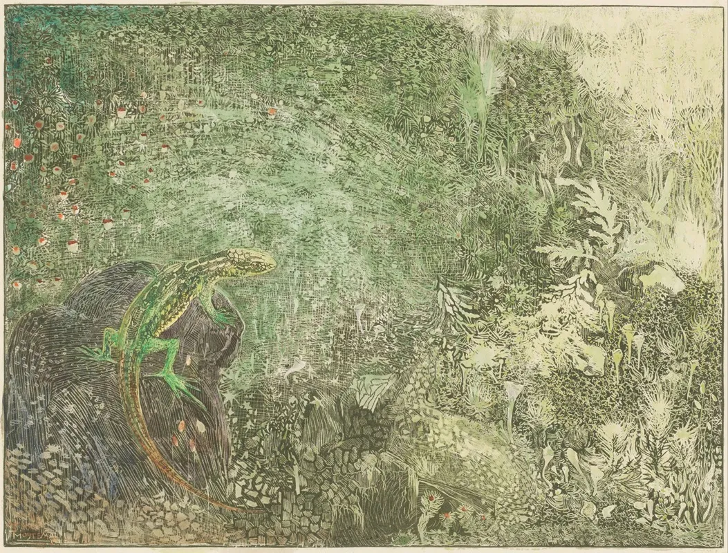 Hagedis Op Een Steen 2