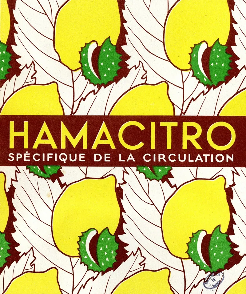 Hamacitro 3