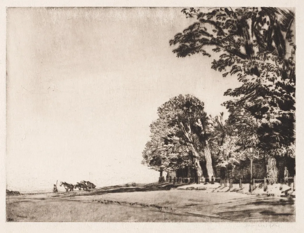 Hampstead Heath 5